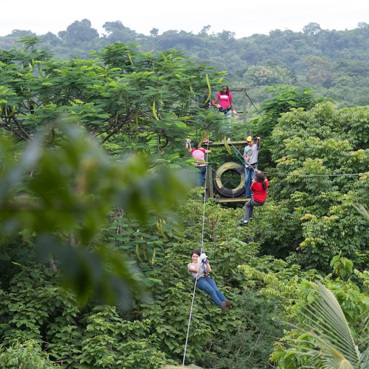 Canopy Tour