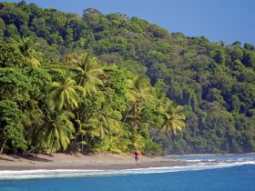 Overnight in Corcovado, Sirena Station from Drake Bay