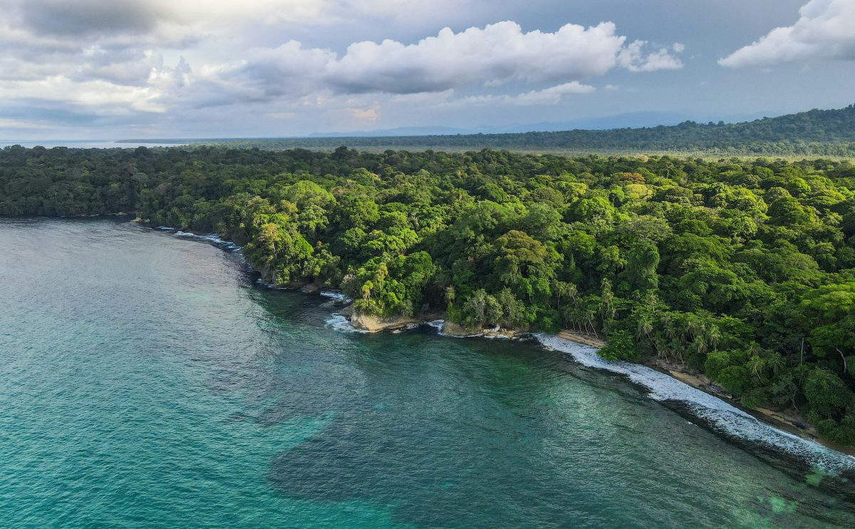 pexels-jean-paul-montanaro-49563862-18634418