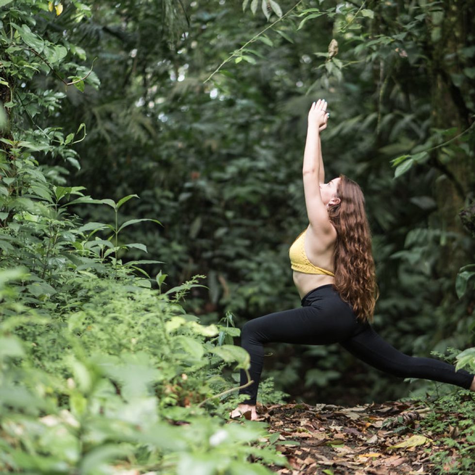Meditación - Bosque