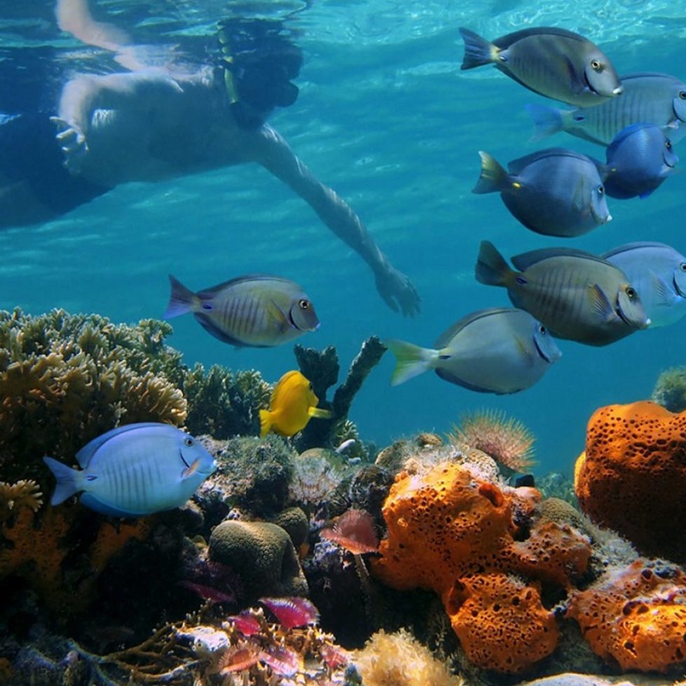 Snorkeling en Costa Rica